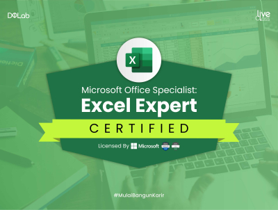 Microsoft Office Specialist:  Excel Expert